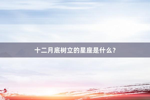 十二月底树立的星座是什么？